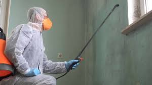 Best Mold Remediation for Vacation Homes  in USA